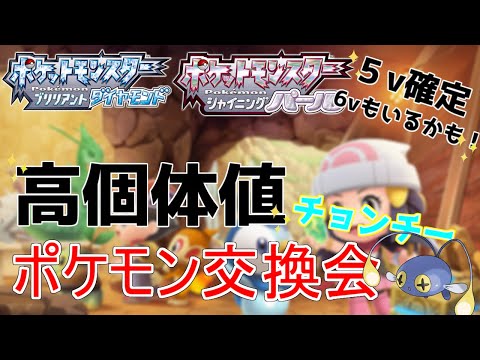 【ダイパリメイク】5Vオシャボ入りシェルダー配布　ポケモン交換会【桜木咲良】