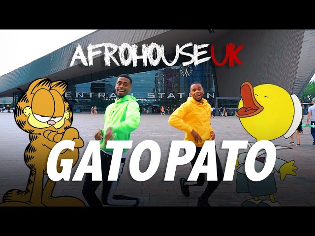 Milo & Fabio - GATO PATO  (Official Video) #GatoPatoChallenge class=