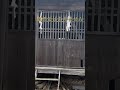 この映像が出た人は偶然じゃない|学び・仕事・評価が重なり始める前兆 #天神様 #天満宮 #神社 #遠隔参拝 #スピリチュアル #学業運 #仕事運 #評価運 #流れが変わる #気づいた人へ #神域