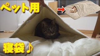 ペット用あったか寝袋に吸い込まれる猫ｗ【すずとコテツ】