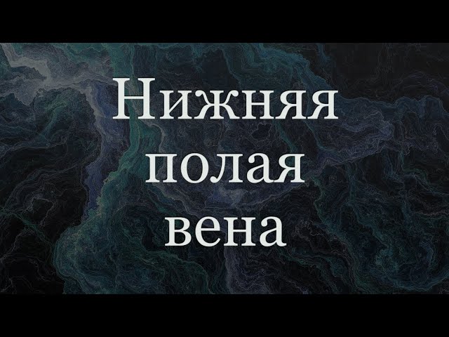 Нижняя полая вена