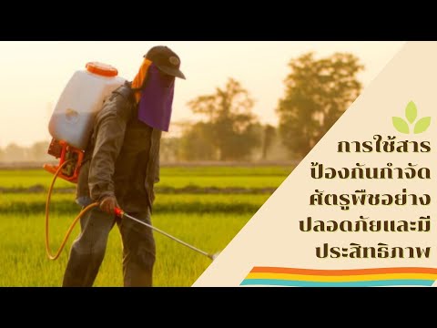 วีดีโอ: การใช้สารกำจัดศัตรูพืชอย่างเหมาะสม - วิธีการใช้สารกำจัดศัตรูพืชอย่างปลอดภัยและมีประสิทธิภาพ