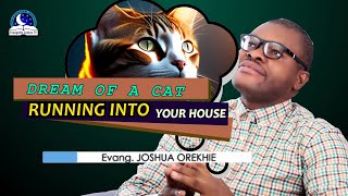 Dream of a Cat Running In House - Meaning from Evangelist Joshua