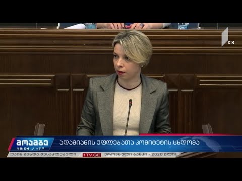 ადამიანის უფლებათა კომიტეტის სხდომა