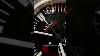 Sinn Ezm 13.1. German Perfection.