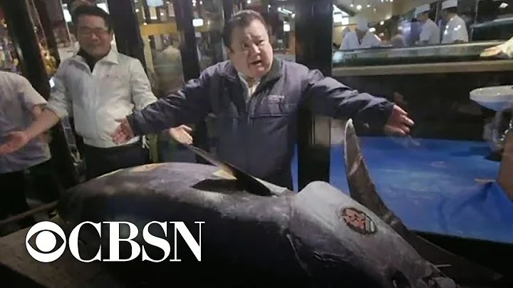 Bluefin tuna sells for a record $3.1M in Tokyo auction - DayDayNews