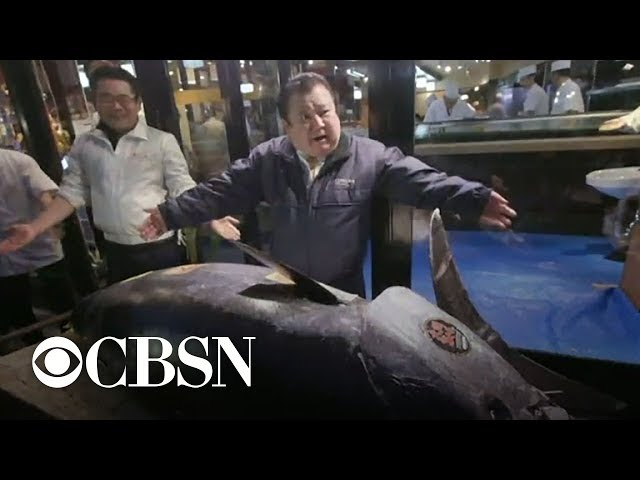 Bluefin tuna sells for a record $3.1M in Tokyo auction class=