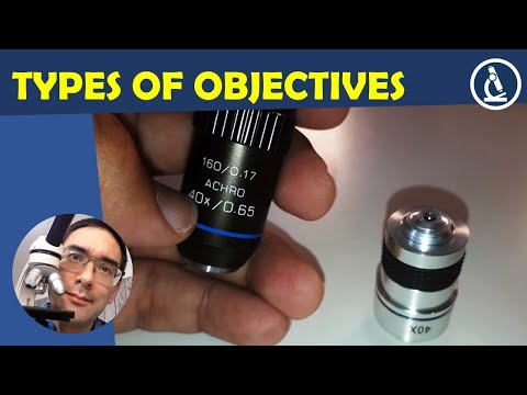 🔬 How are microscope objectives different? | Amateur Microscopy