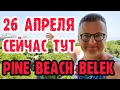 Pine Beach Belek Турция СЕГОДНЯ 26 04 2022 обзор. В отеле дедули.