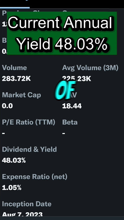 Investing $10,000 into NFLY: Smart Move or Risky Play? (July 2025) #cashflow