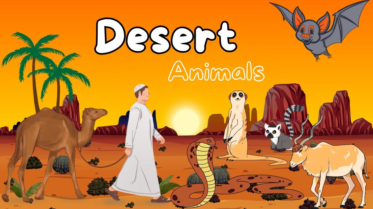 Desert Animals | Desert Animals Name for kids pre School Learning video ...