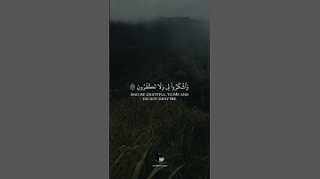 { فَٱذۡكُرُونِيٓ أَذۡكُرۡكُمۡ وَٱشۡكُرُواْ لِي وَلَا تَكۡفُرُونِ  } || القارئ عُمير شميم || البقرة