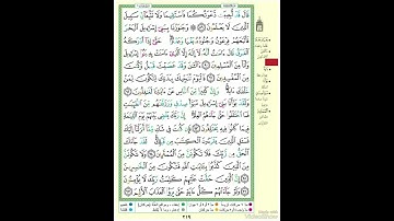 الصفحة ٢١٩ من القرآن الكريم...القارئ د.بريك سعد بريك