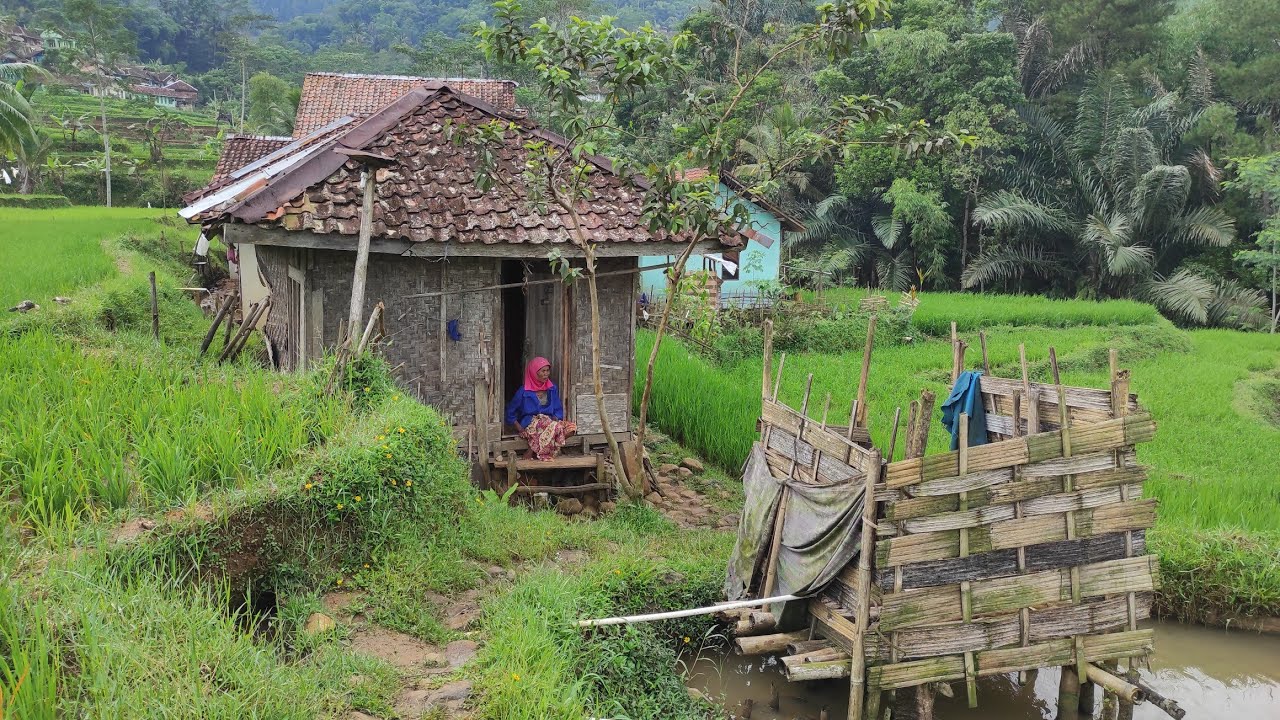 KEINDAHAN ALAM PEDESAAN..BIKIN NANGIS😭NENEK HIDUP SEBATANG KARA DI RUMAH REYOT