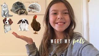 Meet My Pets! 20+ Animals!
