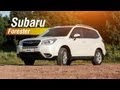 Subaru Forester 2013 - Мнение и Впечатления об Автомобиле - VEDDROIMHО e2 - Veddro.com
