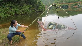 How to catch fish equal net,catch a lot of fish bring bsck - Green forest life
