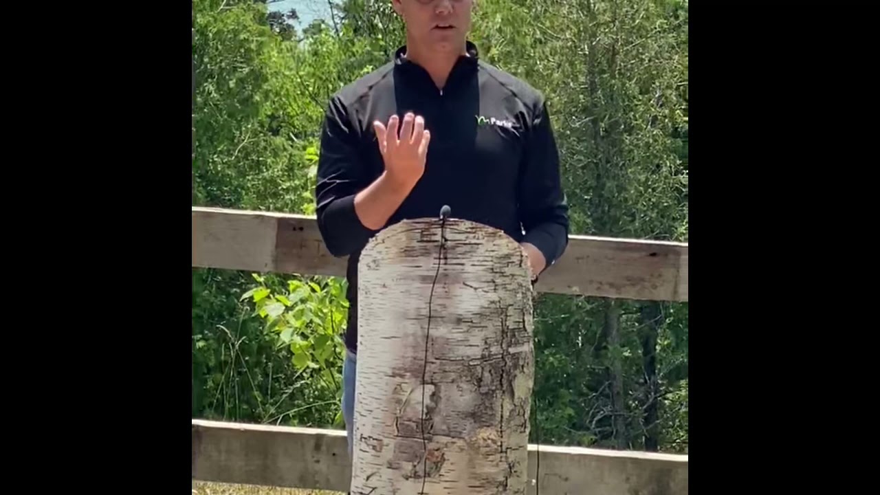 Clay Speaking at $250 Million State Park Funding Annoouncement