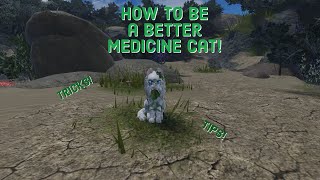 How to be a better Medicine Cat! | Warrior Cats Ultimate Edition