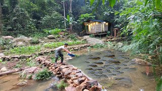 Build a stream into a pond, release fish, harvest vegetables make sour kimchi. 1 Year Off Grid Cabin