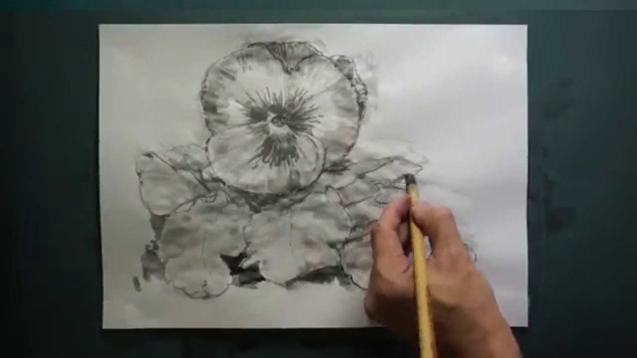 HOW TO DRAW-描き方】「パンジー（Pansy）」を墨でデッサン。《8倍速