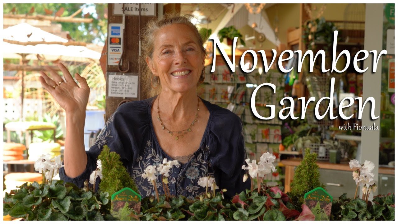 🍁November Garden Bliss:  Essential Tasks for a Thriving Garden Wonderland! 🍁 