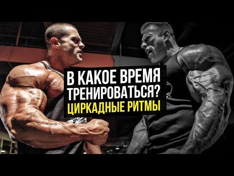 В какое время суток лучше Тренироваться? (Циркадные ритмы, Гормоны, Оптимальное время)