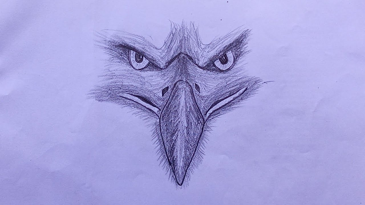 🦅🦅🦅Eagle face drawing 🦅🦅🦅| step by step | Muthu Arts