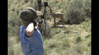 ボイシ川 WMA の 3D アーチェリー場 screenshot 3