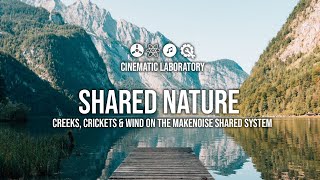 Creating natural sounds like Creeks, Crickets & Wind on a Modular Synthesizer - Shared Nature