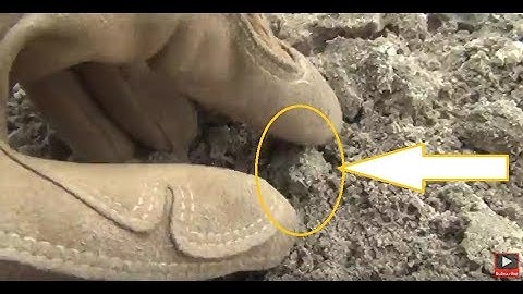 SC Button Metal Detector Find with the Teknetics T2!