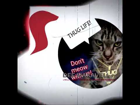 Life's a Struggle 【我的生活 III】 DM MIX INSTRUMENTAL * 熱狗 MC HotDog ft. DMX