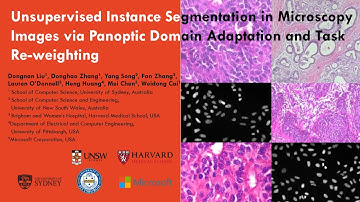 Unsupervised Instance Segmentation in Microscopy Images via Panoptic Domain Adaptation and Task Re W