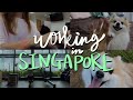 A Day in The Life | Working in Singapore 🐶