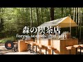 環境音+JAZZ 静かな森の喫茶店 鳥のさえずりと優しいジャズ 森の中でリラックス JAZZ CAFE - 作業用BGM