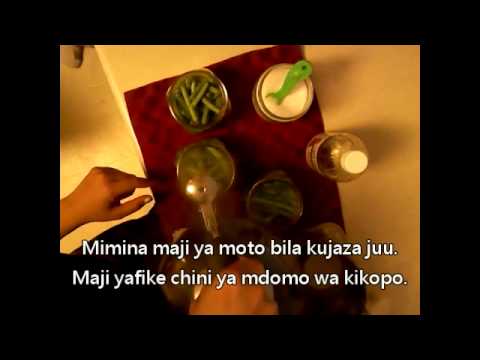 Video: Mali Muhimu Ya Maharagwe Ya Kijani