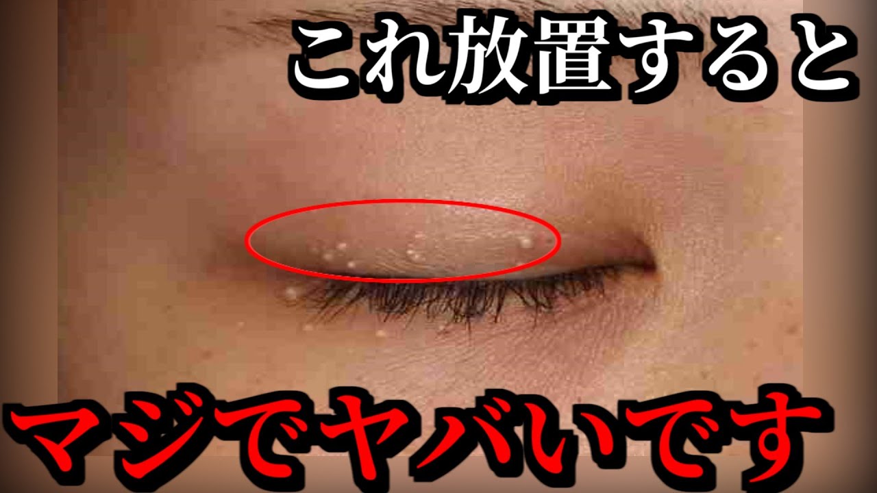知らない方が幸せだった雑学７選 衝撃 的youtube视频效果分析报告 Noxinfluencer
