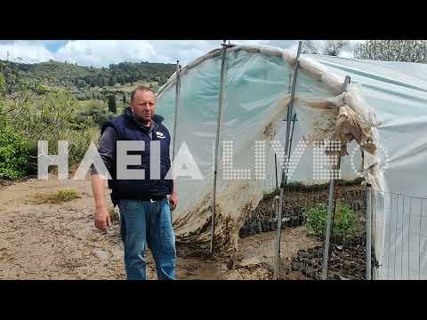 ilialive.gr - Μεγάλες