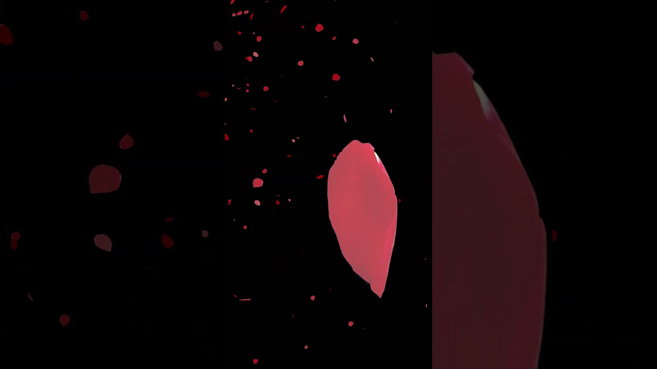 💘 Valentine’s Day Overlay Effect for Video Editing 💖