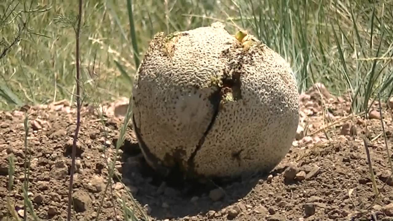 Shooting with Family and good friend Albee4ty5