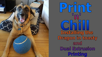 Print n Chill - Variety Stream - Dragon Install and some Idex Action