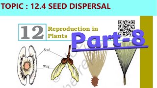 Class 7 Science Ch 12 Reproduction in Plants chapter reading Part-8