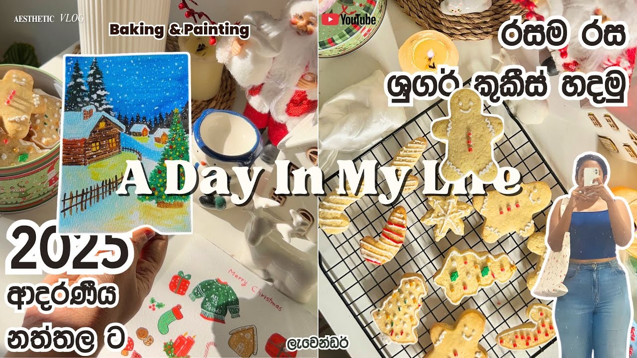 ඔයාලත් මේ විදියට හදලා බලන්න | Christmas Cookie Decorating | Cozy Aesthetic Moments in Sri Lanka ✨