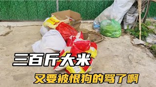 基地流浪狗有吃的了這次籌了一千三百多斤狗糧和大米太幸福了