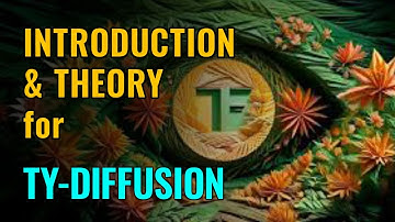 Practical Introduction for TyDiffusion