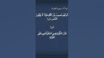 معني ( نَقِيرًا )  في سوره النساء