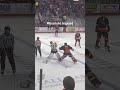 Hockey fights are the best