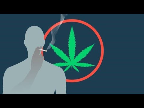 Drugs of abuse testing: Cannabis