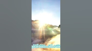سورة الأنبياء و..كا.نك تسمعها لأ،؛و.ل مر.ة💮💟،؛💓❣️💝،،🌻💙بصوت الشيخ حمزة مدبو.ح 🌹💘❣️🌷،.💝💛،.🏵️