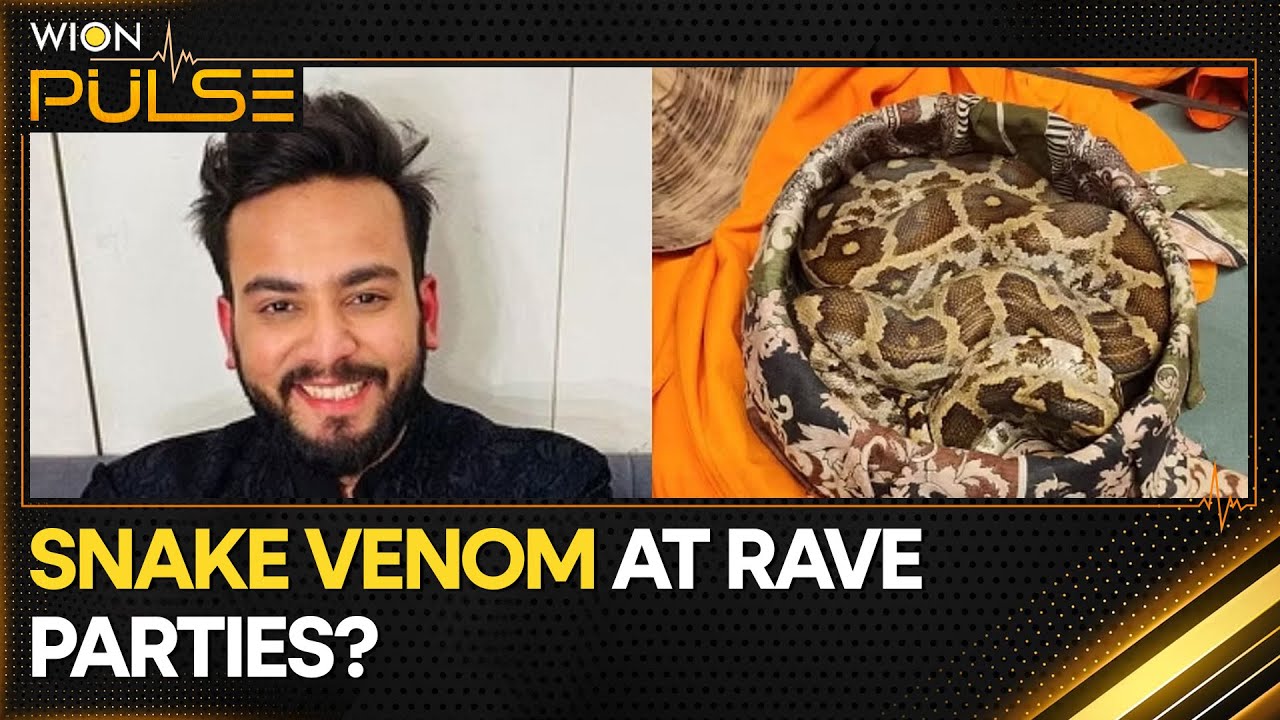 Indian influencer Elvish Yadav accused of consuming snake venom | WION